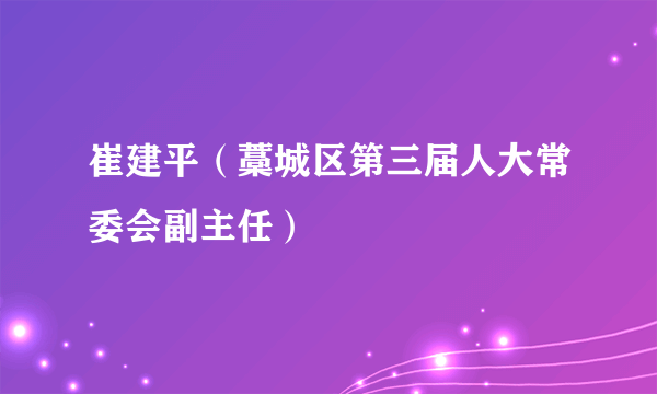 崔建平（藁城区第三届人大常委会副主任）