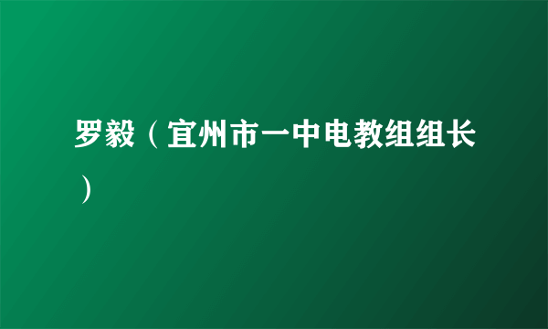 罗毅（宜州市一中电教组组长）