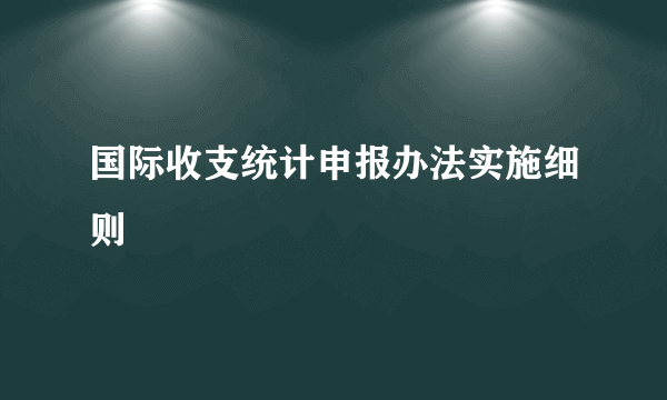 国际收支统计申报办法实施细则