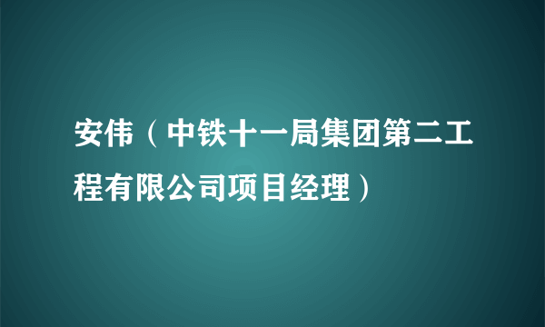 安伟（中铁十一局集团第二工程有限公司项目经理）