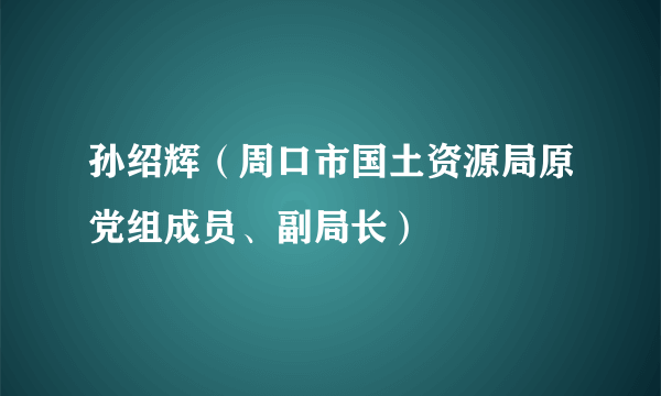 孙绍辉（周口市国土资源局原党组成员、副局长）