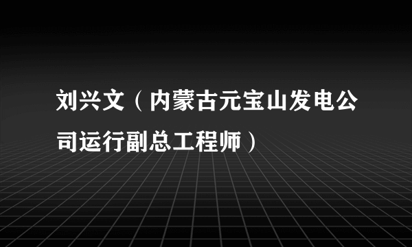 刘兴文（内蒙古元宝山发电公司运行副总工程师）