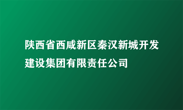 陕西省西咸新区秦汉新城开发建设集团有限责任公司