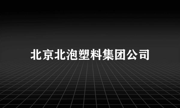 北京北泡塑料集团公司