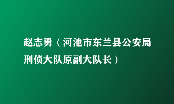 赵志勇（河池市东兰县公安局刑侦大队原副大队长）