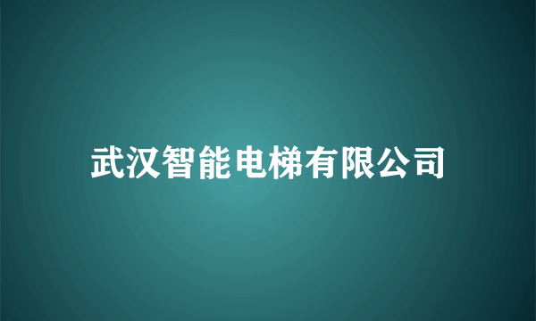 武汉智能电梯有限公司