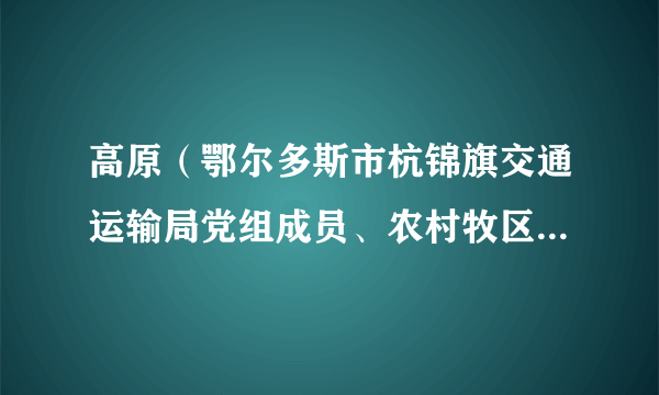 高原（鄂尔多斯市杭锦旗交通运输局党组成员、农村牧区养护管理所所长）