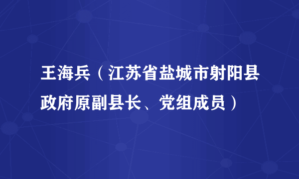 王海兵（江苏省盐城市射阳县政府原副县长、党组成员）