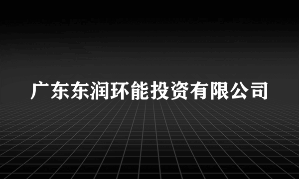 广东东润环能投资有限公司