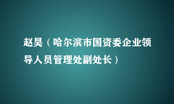 赵昊（哈尔滨市国资委企业领导人员管理处副处长）