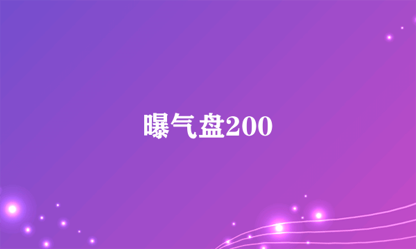 曝气盘200