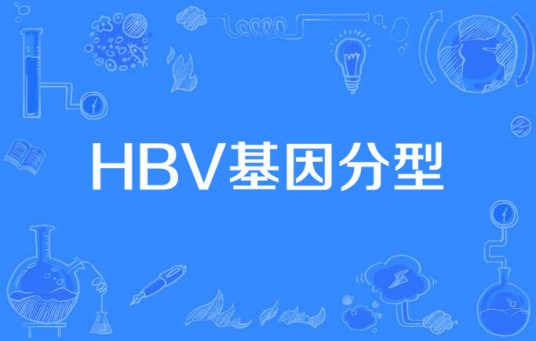 HBV基因分型