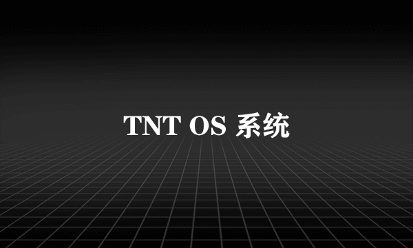 TNT OS 系统