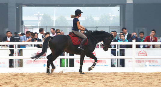 2010第四届中国国际马业马术展览会