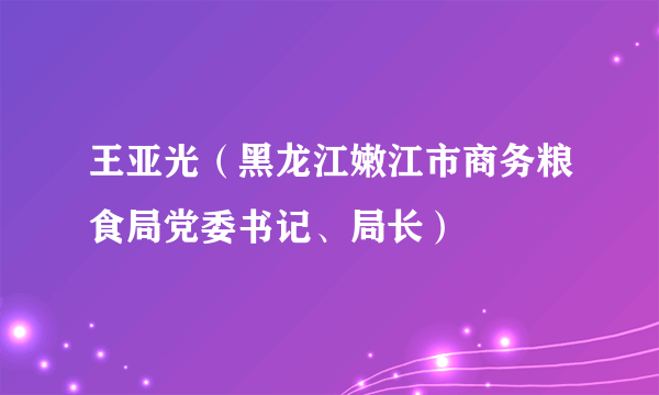 王亚光（黑龙江嫩江市商务粮食局党委书记、局长）