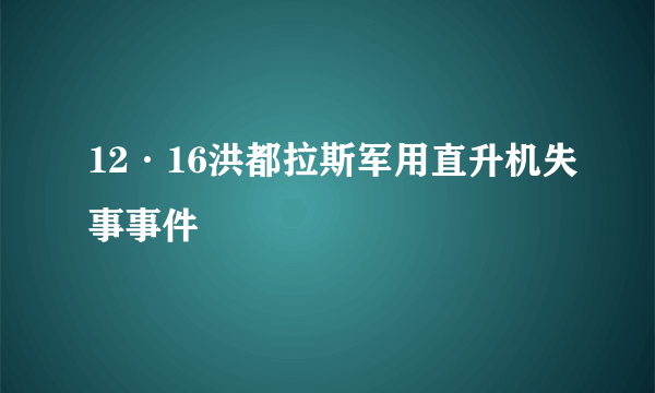 12·16洪都拉斯军用直升机失事事件