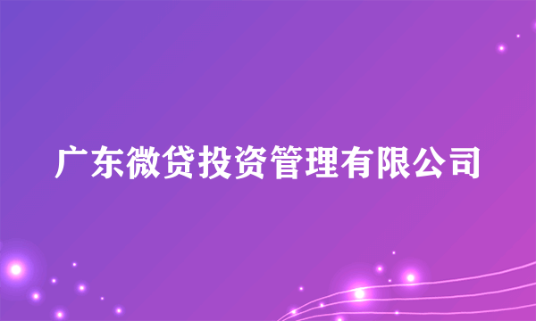 广东微贷投资管理有限公司