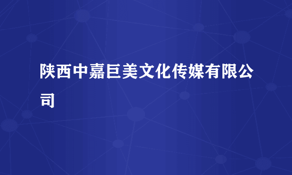 陕西中嘉巨美文化传媒有限公司