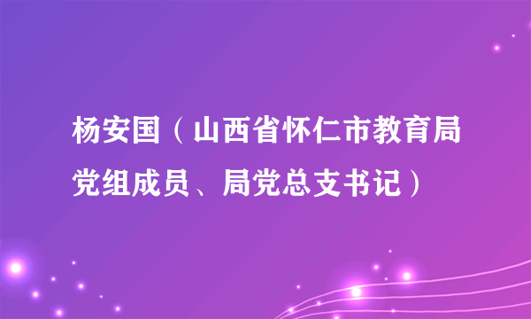 杨安国（山西省怀仁市教育局党组成员、局党总支书记）