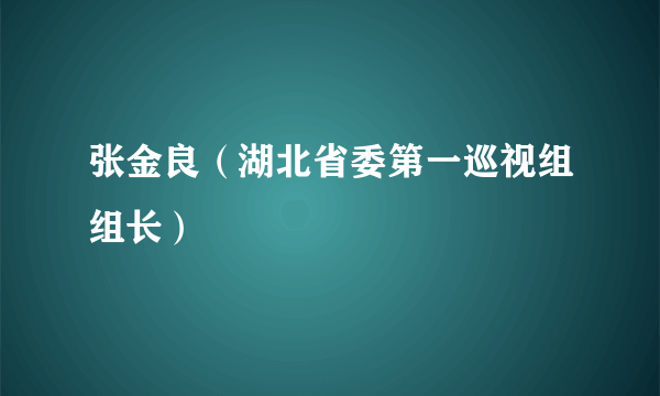 张金良（湖北省委第一巡视组组长）