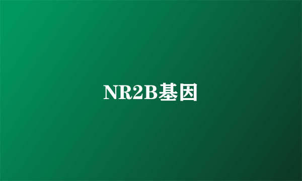 NR2B基因