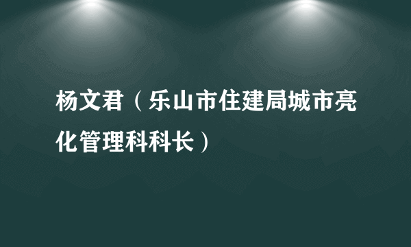 杨文君（乐山市住建局城市亮化管理科科长）