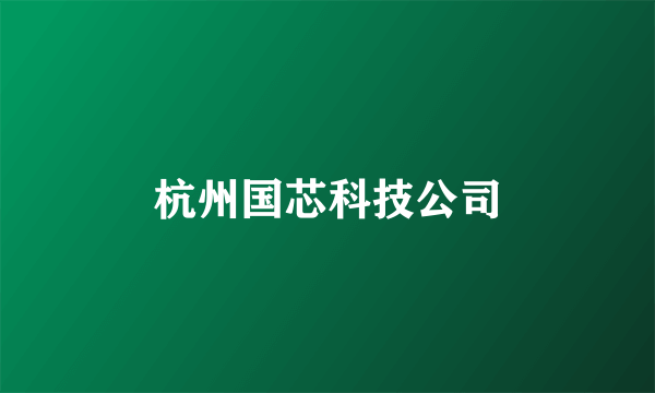 杭州国芯科技公司