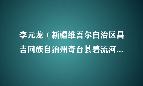 李元龙（新疆维吾尔自治区昌吉回族自治州奇台县碧流河镇党委副书记、镇长）