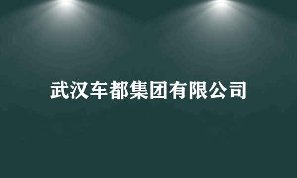 武汉车都集团有限公司