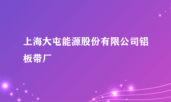 上海大屯能源股份有限公司铝板带厂