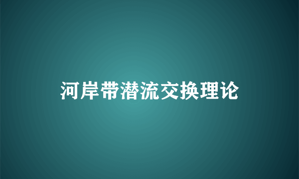 河岸带潜流交换理论