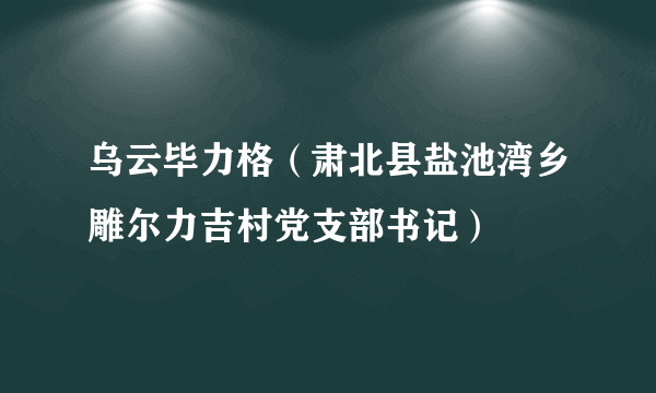 乌云毕力格（肃北县盐池湾乡雕尔力吉村党支部书记）