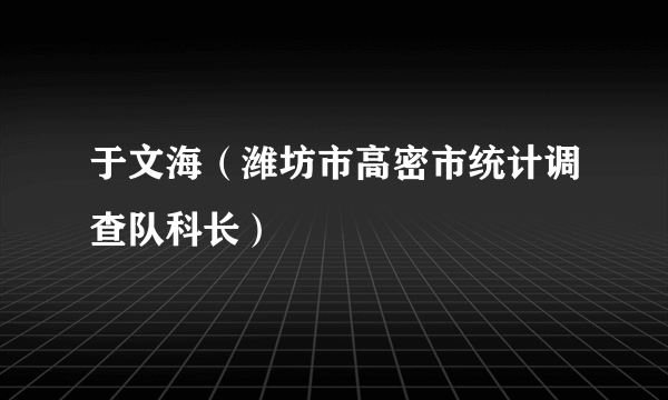 于文海（潍坊市高密市统计调查队科长）