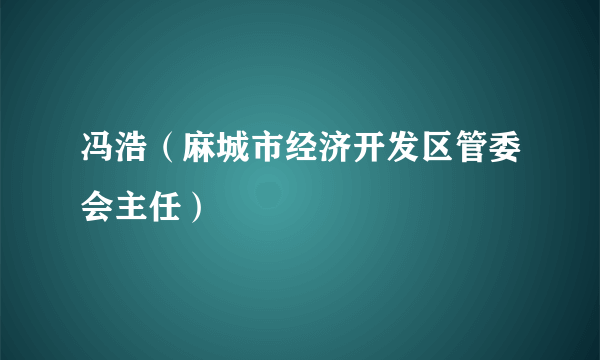 冯浩（麻城市经济开发区管委会主任）