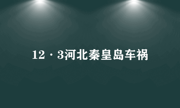 12·3河北秦皇岛车祸