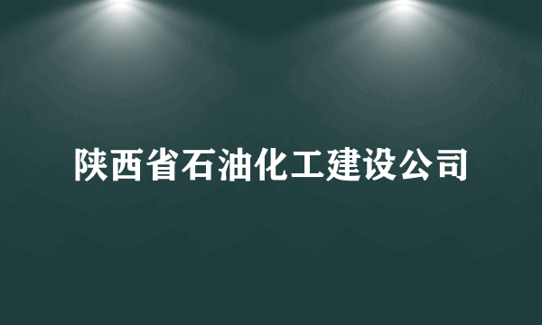 陕西省石油化工建设公司