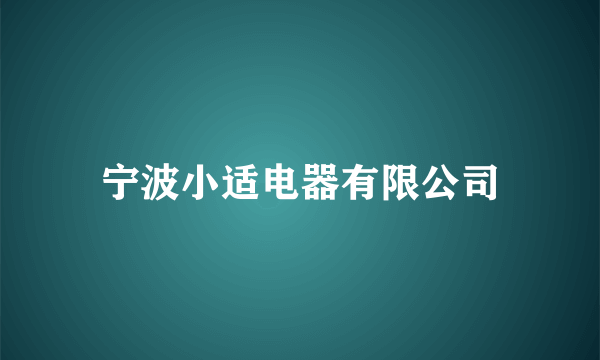 宁波小适电器有限公司