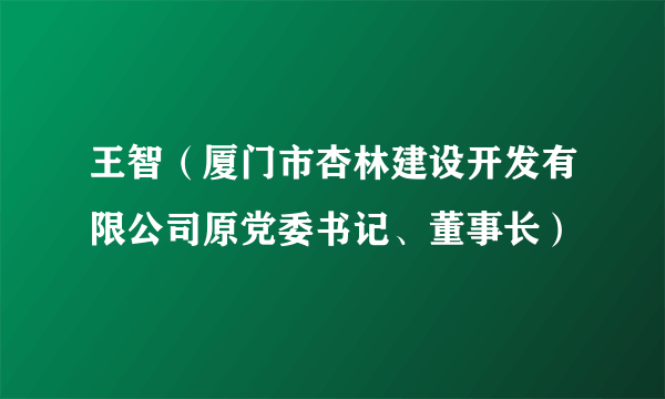 王智（厦门市杏林建设开发有限公司原党委书记、董事长）