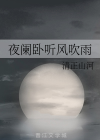 夜阑卧听风吹雨（清正山河创作的网络小说）