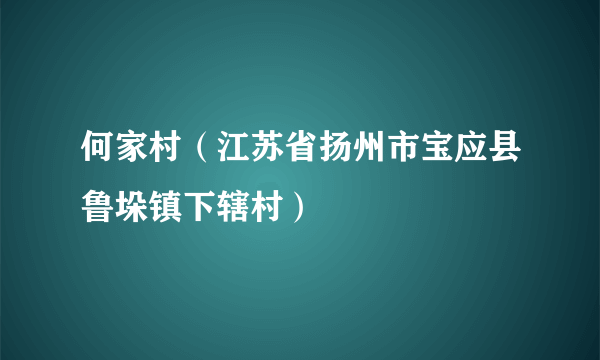 何家村（江苏省扬州市宝应县鲁垛镇下辖村）