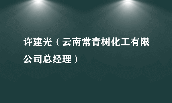 许建光（云南常青树化工有限公司总经理）