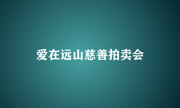 爱在远山慈善拍卖会