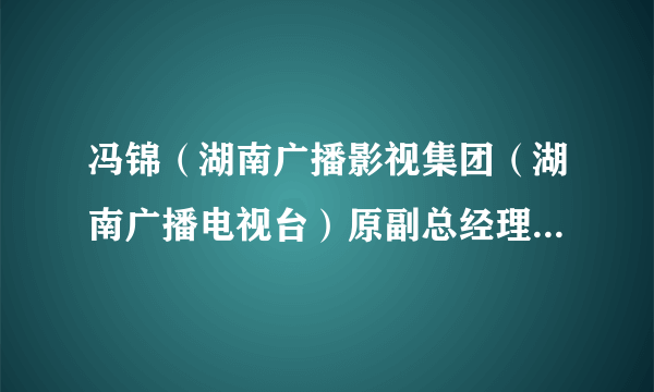 冯锦（湖南广播影视集团（湖南广播电视台）原副总经理、副台长）