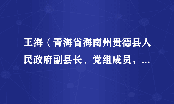 王海（青海省海南州贵德县人民政府副县长、党组成员，县公安局党委书记、局长、三级高级警长）