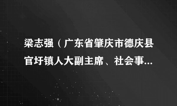 梁志强（广东省肇庆市德庆县官圩镇人大副主席、社会事务中心副主任）