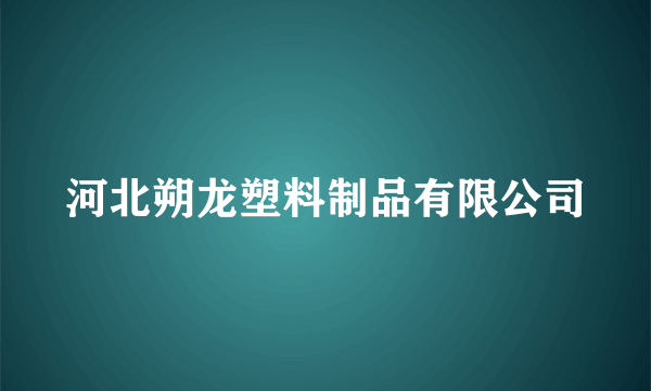 河北朔龙塑料制品有限公司