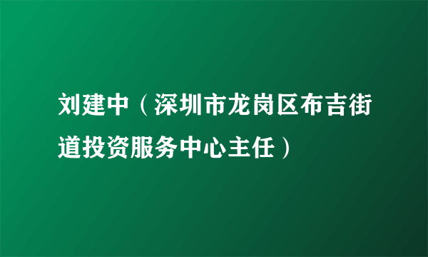 刘建中（深圳市龙岗区布吉街道投资服务中心主任）