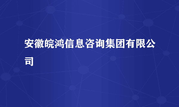 安徽皖鸿信息咨询集团有限公司