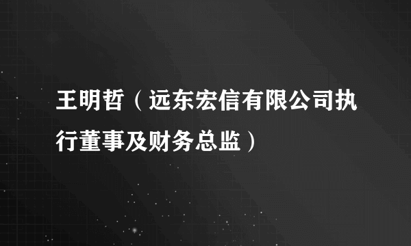 王明哲（远东宏信有限公司执行董事及财务总监）