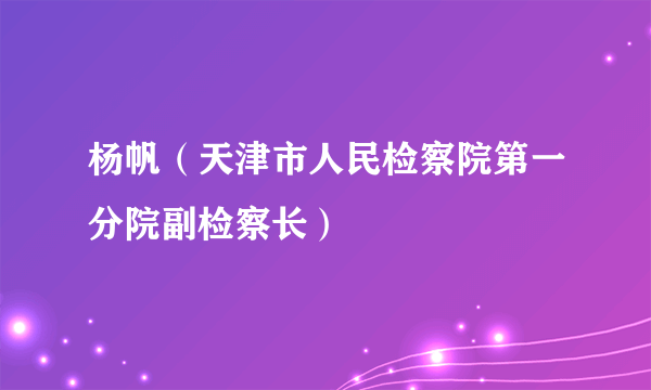 杨帆（天津市人民检察院第一分院副检察长）